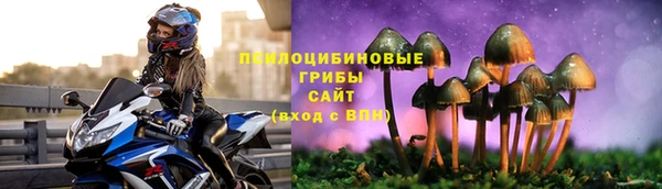 гидра Армянск