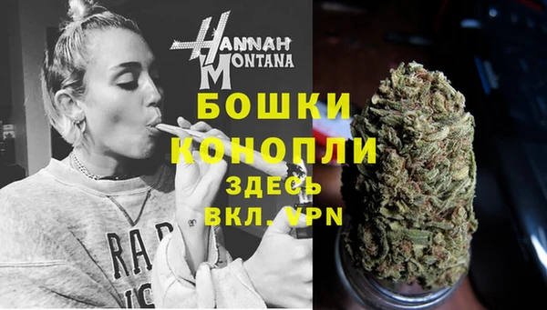 гидра Армянск