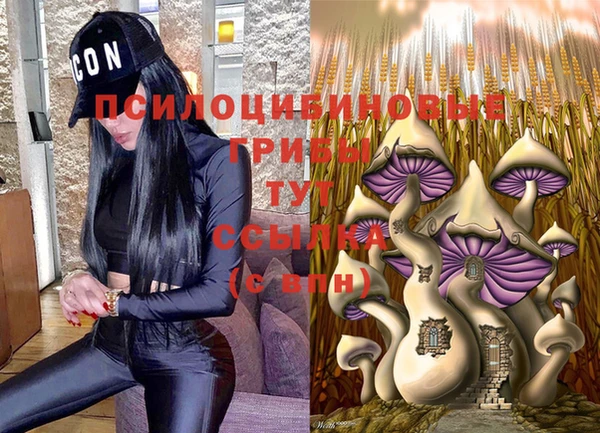 амфетамин Аркадак