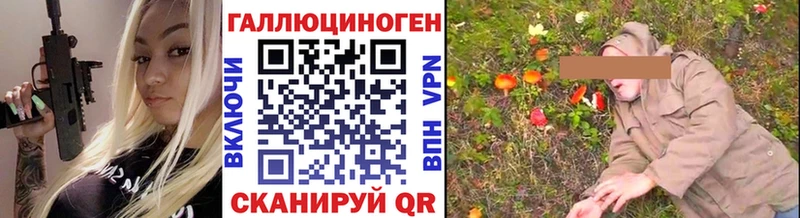 закладка Ликино-Дулёво Галлюциногенные грибы Psilocybine cubensis